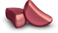 gummies