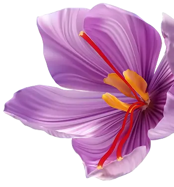 Flor